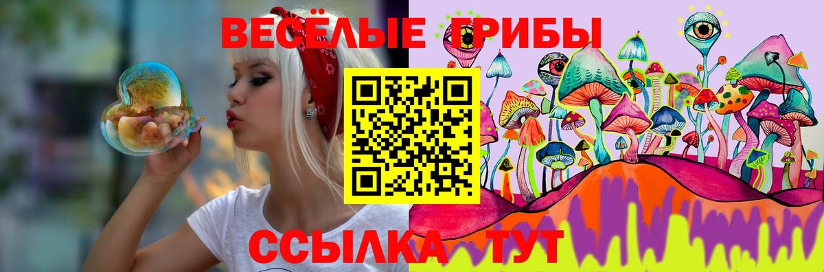 как найти закладки  Вход с VPN  Ефремов  Псилоцибиновые грибы GOLDEN TEACHER 