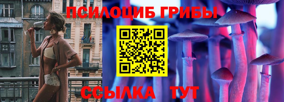 Галлюциногенные грибы Psilocybine cubensis Ефремов